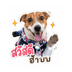 Kessarin_20260428160355