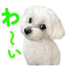shun_20260508143420