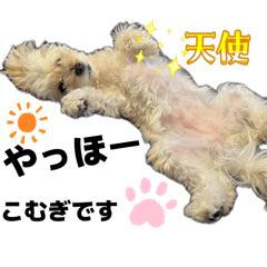 akari_20260508143444