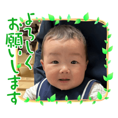 mash_20260508181343