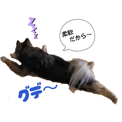 iihiro_20260508181622