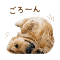 NAODATOP_20260508181847