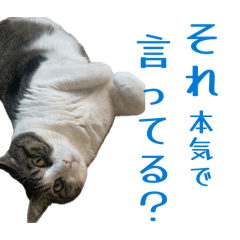 umechan_20260508181657