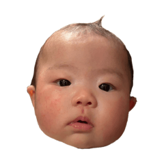 chama_20260508142357