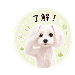 hichew_20260508185146