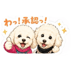 nana713_20260508183053