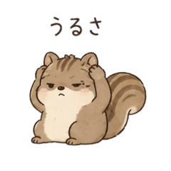 PUNA_20260508185155
