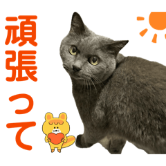 TARO_20260508185859