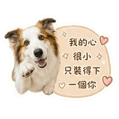 Migoの土味情話篇