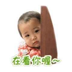 圓圓貼圖-「日常用語篇♡」
