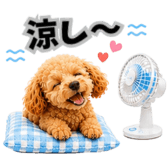 YUZUKABO_20260508112939