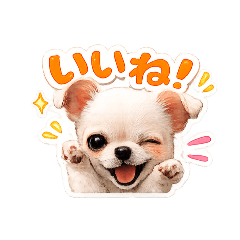 Thank you, Sora-kun!