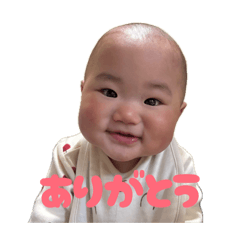 kamesan527