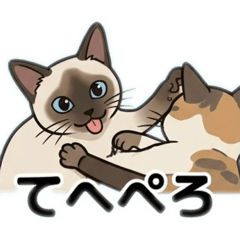 Our Cat House: 8 Cats, Ages 2-16