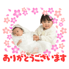 mimimi_20260508113508