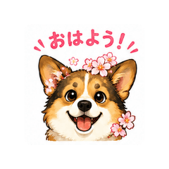KOMUGItan_20260508114317
