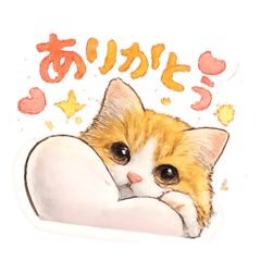 20260508neko