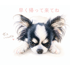 zawa_20260508112618