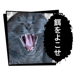 n_20260508114517