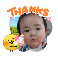 yamame_20260508191309