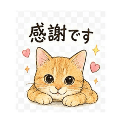 Lily_20260508155503