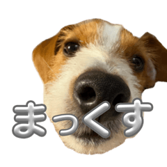 Sato____06_20260508191410