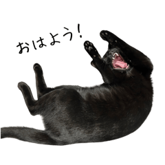 Sato_20260508181552