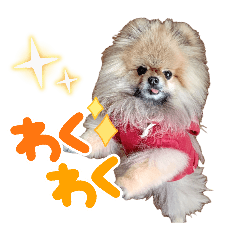 mochimochi_20260508191925