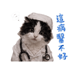 賓士貓=反骨的貓2