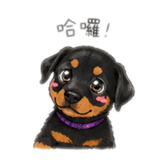島拎修狗