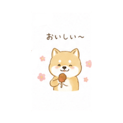 teru_20260506233315