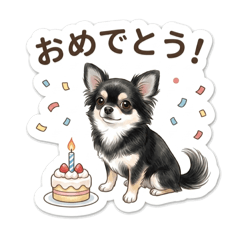 fine_20260506233224