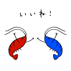 maru_20260507011516