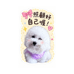 小妞妞✨