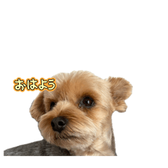 Yuu_20260508195655