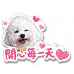 最棒的妳✨