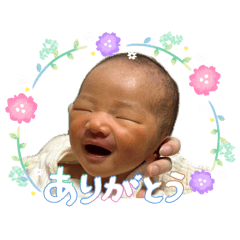 hyt_20260508