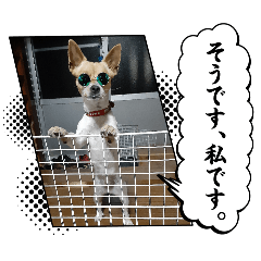 moca_20260508195744
