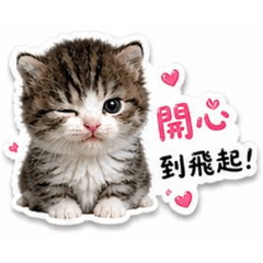 奶萌小宇宙✨