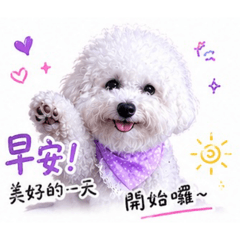 加油寶貝✨