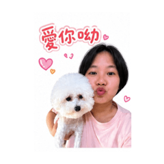 比熊撒嬌日記✨