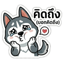 Biwty99_20260428160446