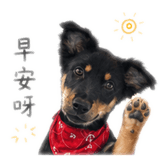 西瓜米克斯