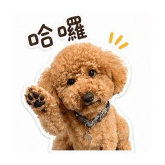 奇奇寶寶的規律生活