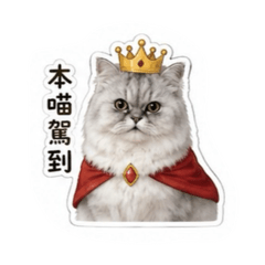 Bueno公主