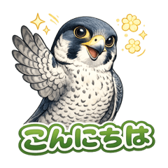 CHAO_20260507060632
