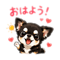 NVboy_20260507072209