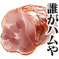 [Super useful] Ham