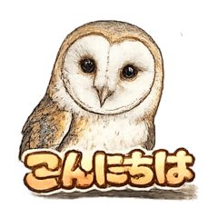 CHAO_20260507062613