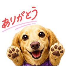 shizuku_20260507130150